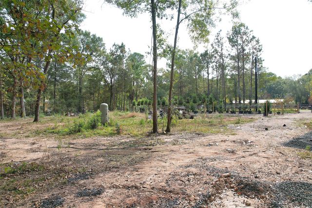 17648 Rhonda Lane, Montgomery, TX 77316