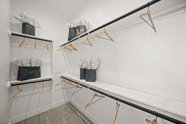 30910 Star Gazer Road, Fulshear, TX 77423