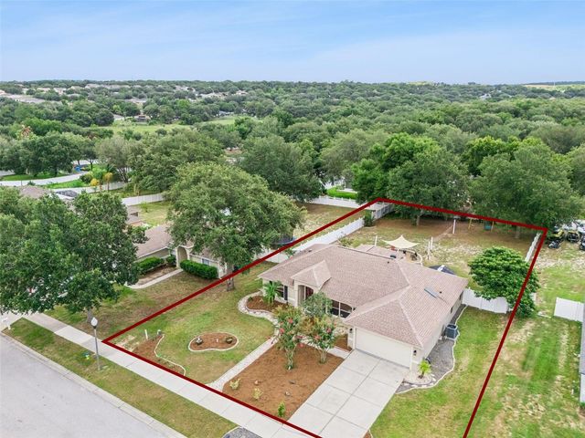 1115 LAKEVIEW OAKS DRIVE, Minneola, FL 34715