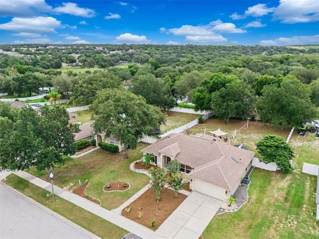 1115 LAKEVIEW OAKS DRIVE, Minneola, FL 34715