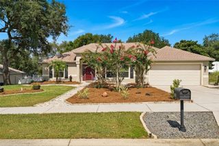 1115 LAKEVIEW OAKS DRIVE, Minneola, FL 34715