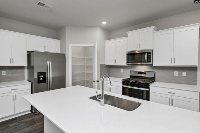 485 Leathertree Lane, Blythewood, SC 29016