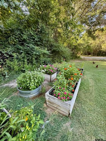 10401 County Road 137, Flint, TX 75762