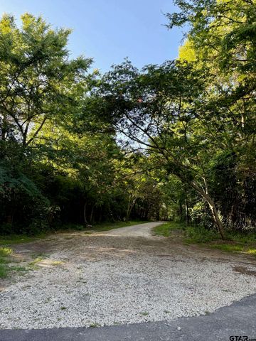 10401 County Road 137, Flint, TX 75762