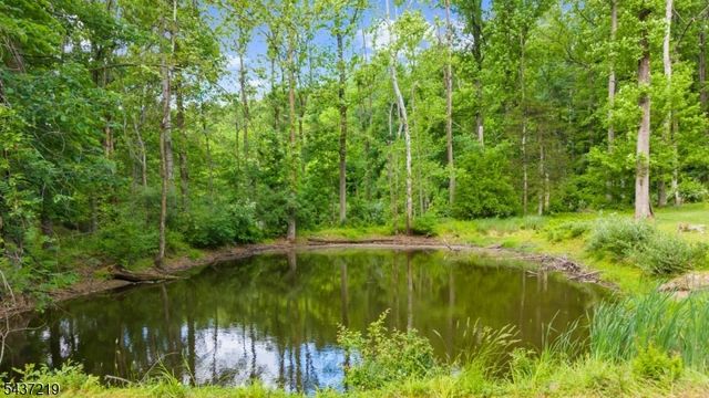 37 Brookville Hollow Rd, Delaware Twp., NJ 08559