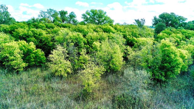 TBD W Big Elm Road, Moody, TX 76557