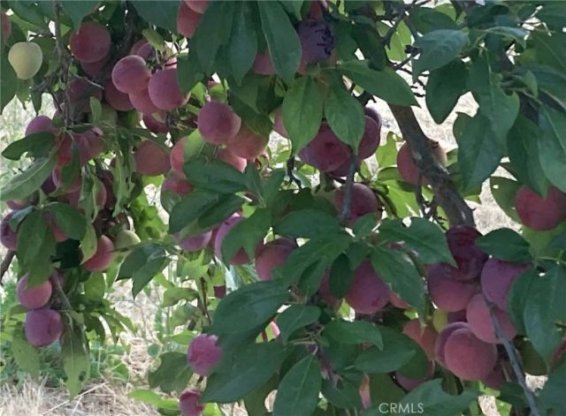 3470 Ranchita Cyn Rd, San Miguel, CA 93451