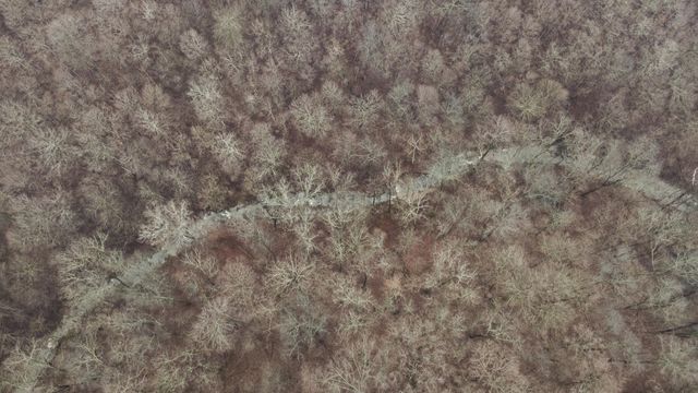 7812 E Bend Road, Burlington, KY 41005