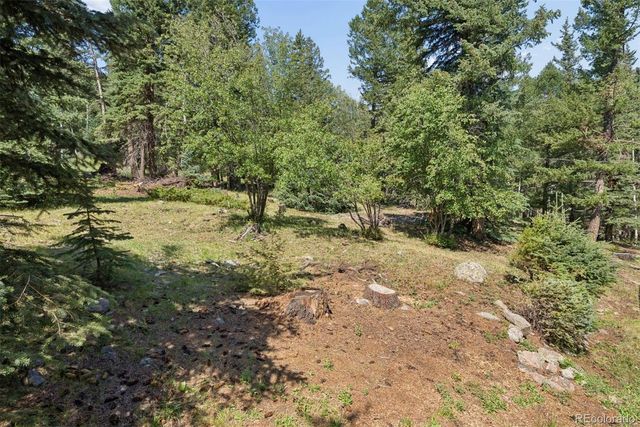 2667 Witter Gulch Road, Evergreen, CO 80439