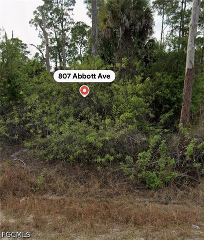 807 Abbott AVE, Lehigh Acres, FL 33972