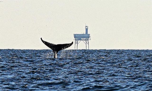 2816 Pleasant AVE, Norfolk, VA 23518