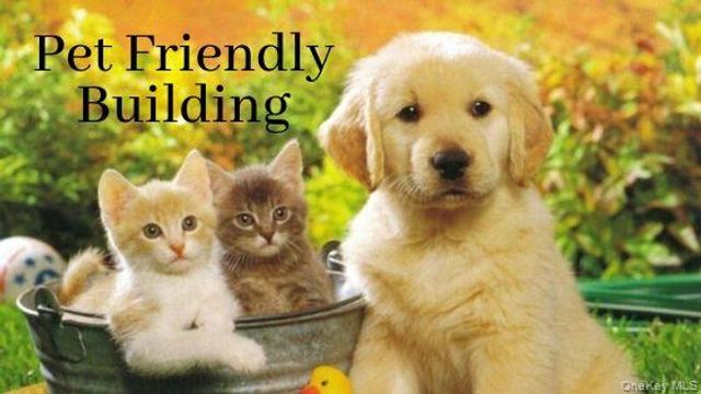 1 Franklin Avenue 6A, White Plains, NY 10601