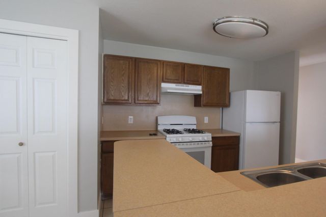 19507 Winston Hill Drive, Cypress, TX 77433