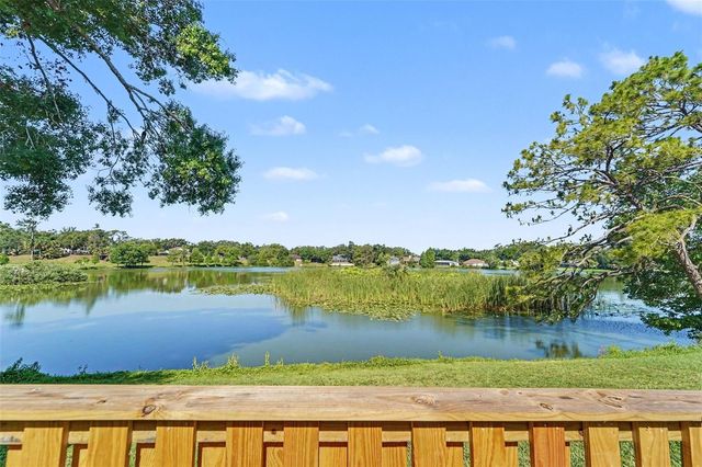 14806 MORNING DRIVE, Lutz, FL 33559