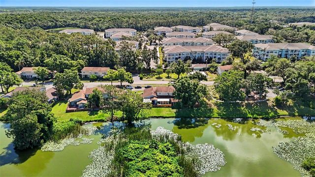 14806 MORNING DRIVE, Lutz, FL 33559