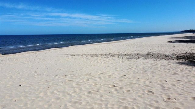 15972 Prusa Road, Union Pier, MI 49129