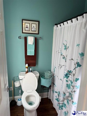 4057 W Old Wire Road, Wallace, SC 29596