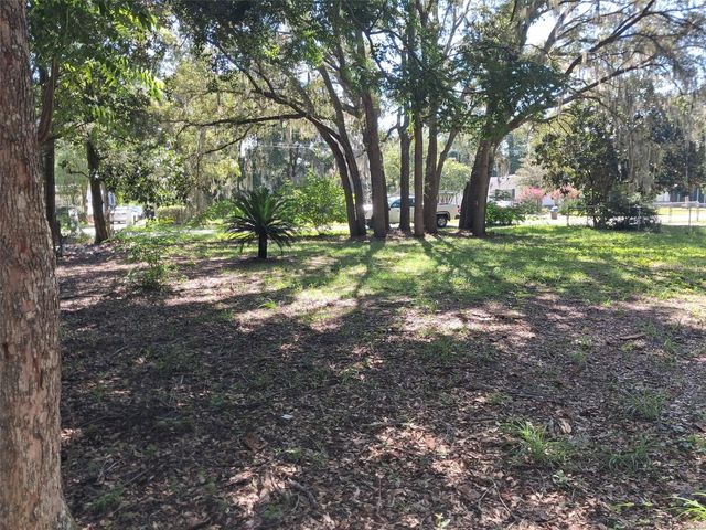 99TH TERR, Summerfield, FL 34491