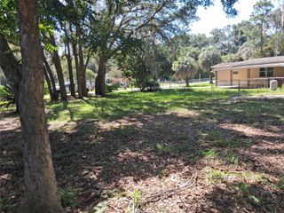 99TH TERR, Summerfield, FL 34491