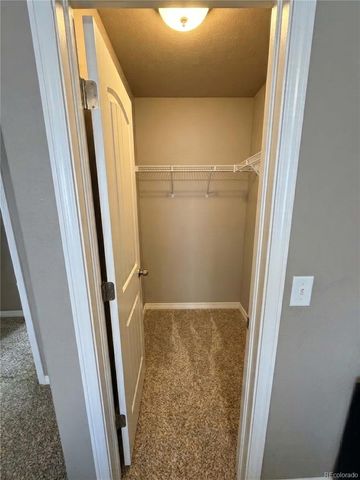 8394 Prairie Brush Court, Colorado Springs, CO 80908