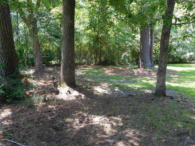 3005 Sawyer St., Conway, SC 29527