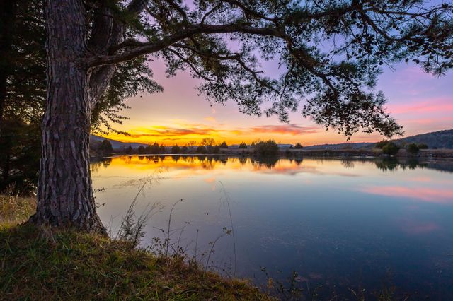 8121 Highway 156, South Pittsburg, TN 37380