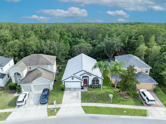 14229 SAPPHIRE BAY CIRCLE, Orlando, FL 32828