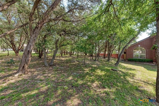 133 Ridgewood Cove, Georgetown, TX 78633