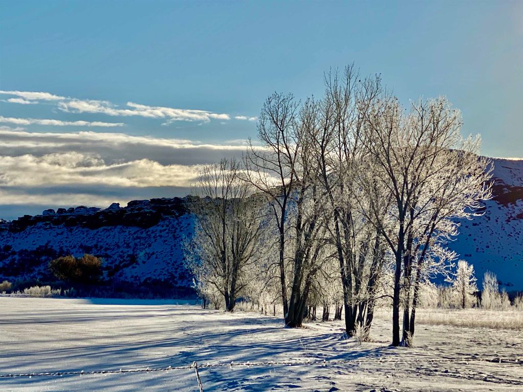 1520 Hwy 31, Hyattville, WY 82428 photo 41