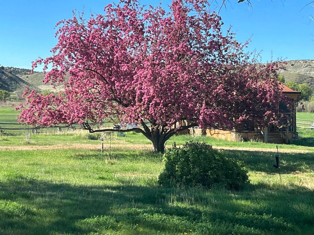 1520 Hwy 31, Hyattville, WY 82428 photo 46