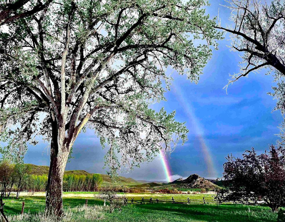 1520 Hwy 31, Hyattville, WY 82428 photo 47