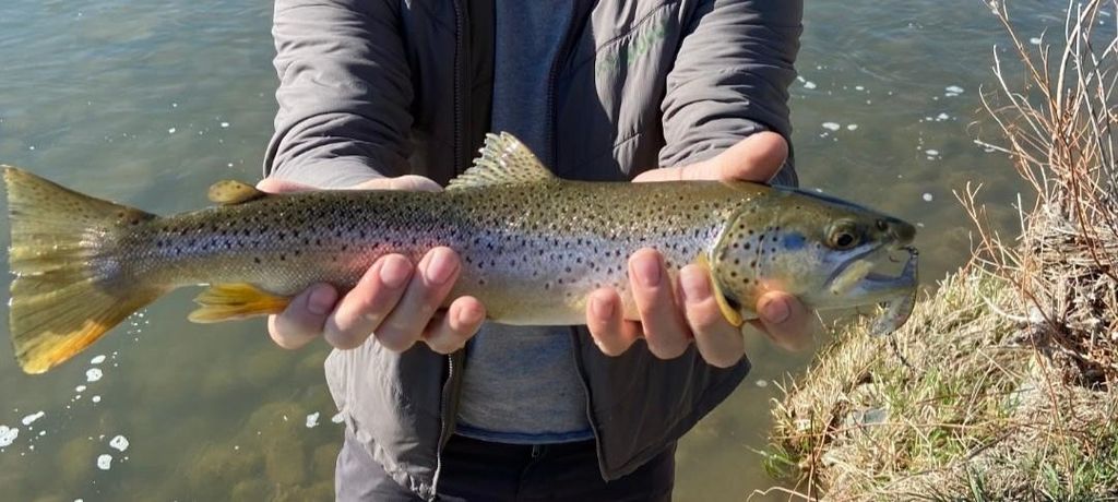 1520 Hwy 31, Hyattville, WY 82428 photo 48