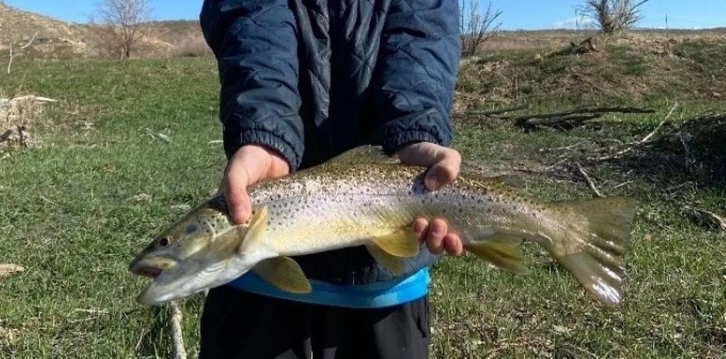 1520 Hwy 31, Hyattville, WY 82428 photo 49