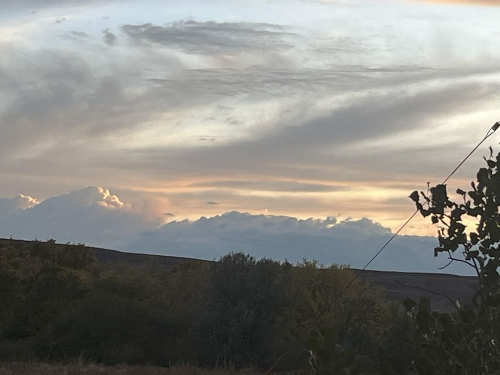 1520 Hwy 31, Hyattville, WY 82428 photo 51