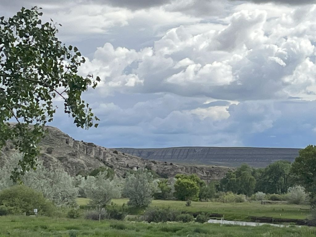 1520 Hwy 31, Hyattville, WY 82428 photo 52