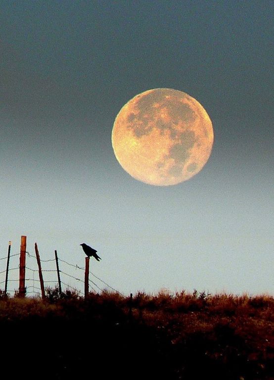 1520 Hwy 31, Hyattville, WY 82428 photo 58