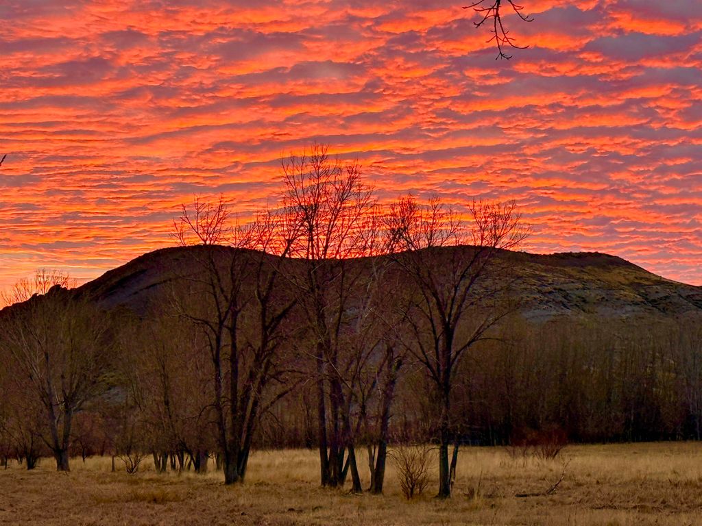 1520 Hwy 31, Hyattville, WY 82428 photo 60