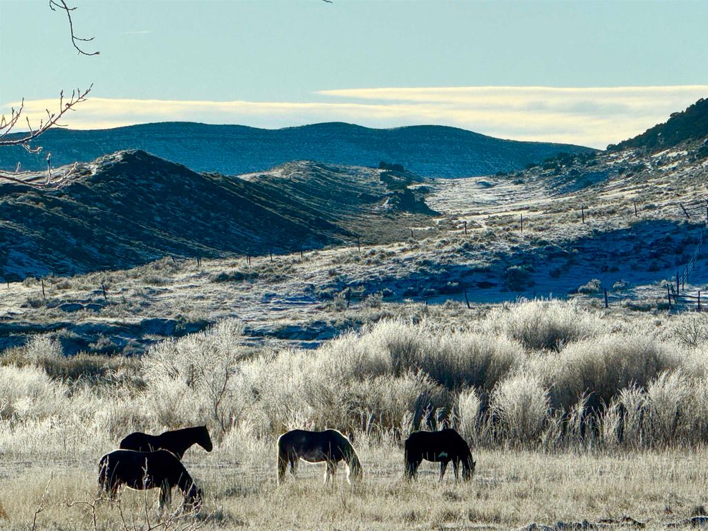 1520 Hwy 31, Hyattville, WY 82428 photo 61