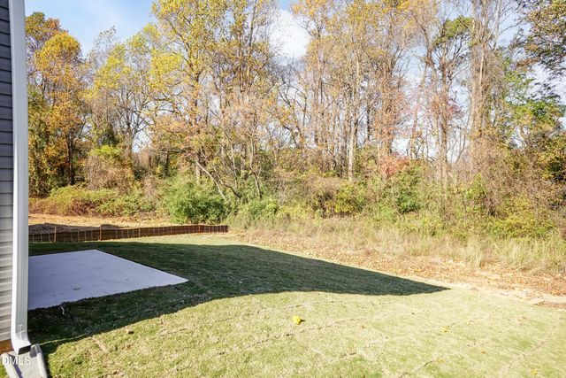 279 New Twin Branch Court, Smithfield, NC 27577