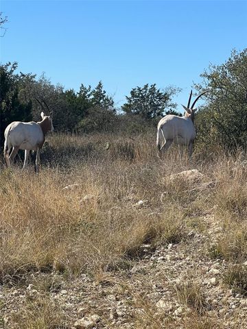 Lot 63 Bluff VW, Kempner, TX 76539