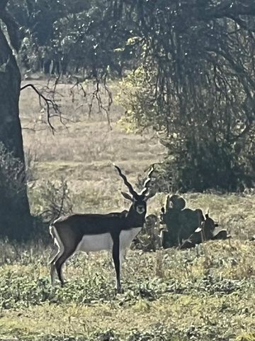 Lot 63 Bluff VW, Kempner, TX 76539