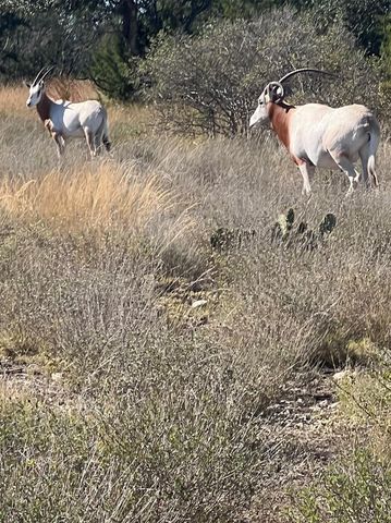 Lot 63 Bluff VW, Kempner, TX 76539