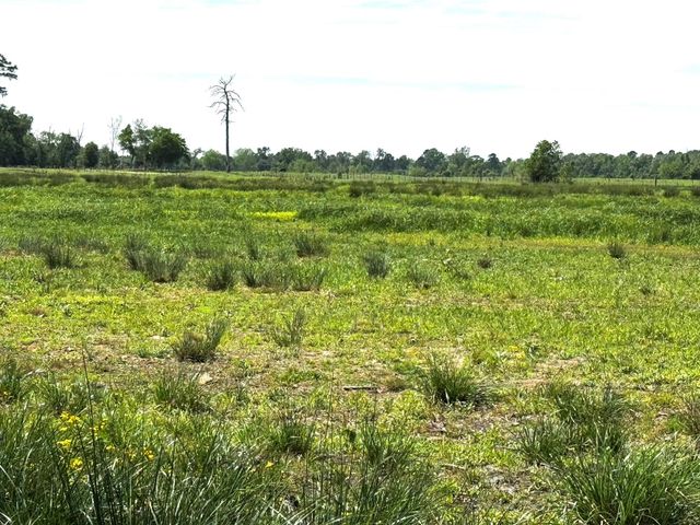 3400 Fm 1127, Shepherd, TX 77371