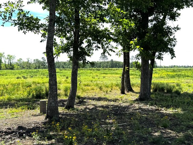 3400 Fm 1127, Shepherd, TX 77371