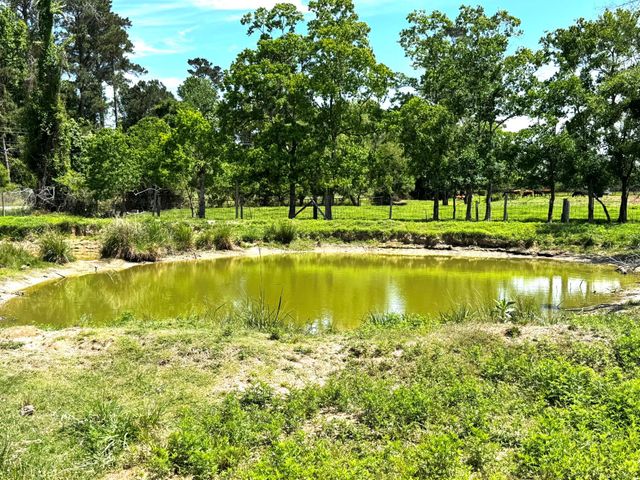 3400 Fm 1127, Shepherd, TX 77371