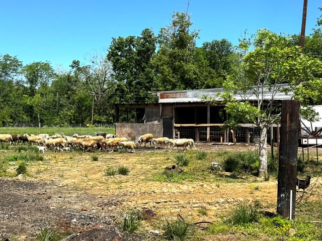 3400 Fm 1127, Shepherd, TX 77371