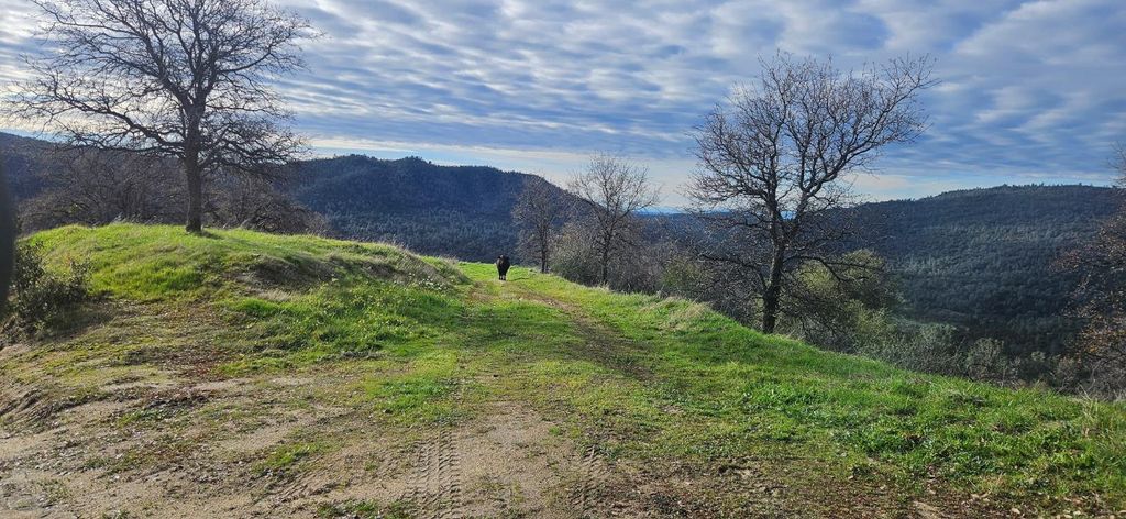 Image 4 of property listing at 33555 Merrill Ranch Road, O Neals, CA 93645