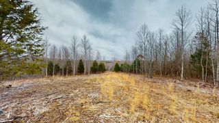 0 Horseshoe Hollow rd, Dover, TN 37058