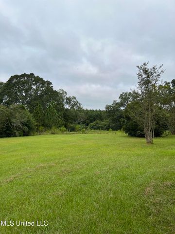 1273 Hilt Fornea Road, Poplarville, MS 39470
