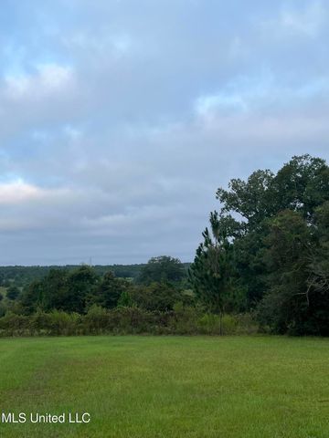 1273 Hilt Fornea Road, Poplarville, MS 39470